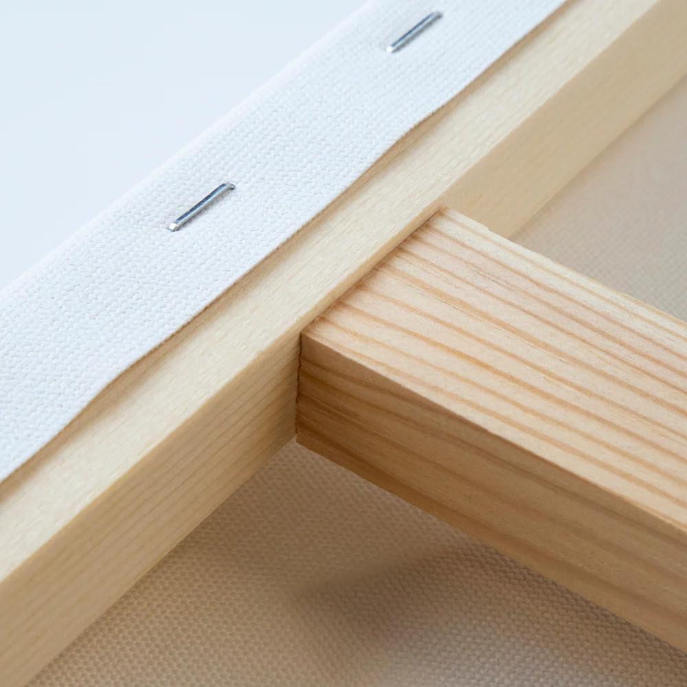 Professional Recycled Canvas - Traditional - Image 4