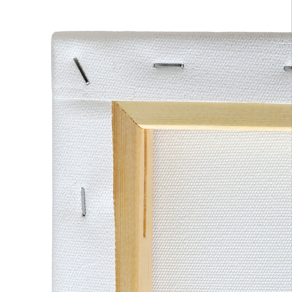 Professional Recycled Canvas - Traditional - Image 6